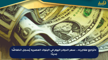 «تراجع مفاجئ».. سعر الدولار اليوم في البنوك المصرية يُسجل انخفاضًا جديدًا